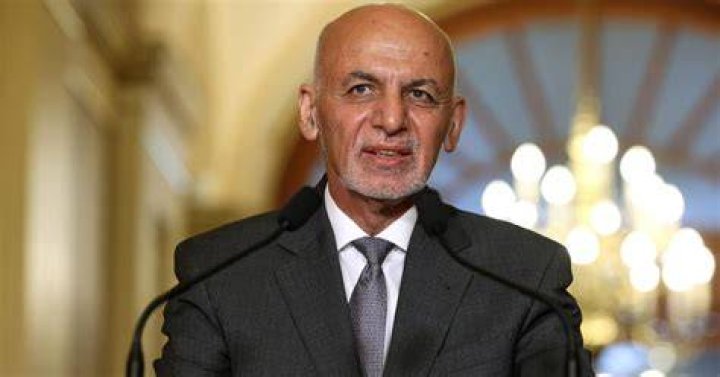 Ashraf Ghani Net Worth