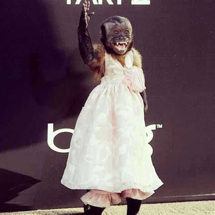 Crystal the Monkey Net Worth
