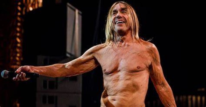 Iggy Pop Net Worth