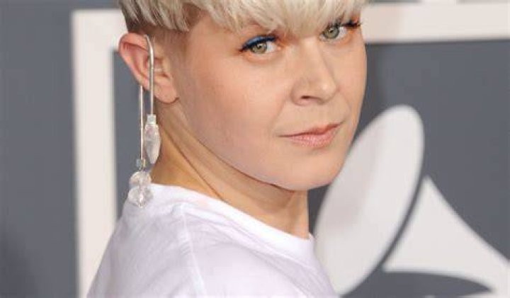Robyn Net Worth