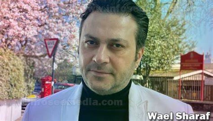 Wael Sharaf Net Worth