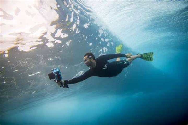 Zak Noyle Net Worth 2024
